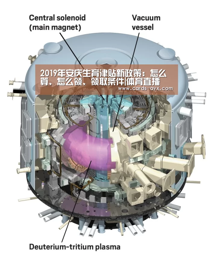 2019年安庆生育津贴新政策:怎么算、怎么领、领取条件|体育直播(图1) 爱游戏直播