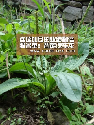 连续加仓的业绩翻倍股名单!智能汽车龙头被爆买 杠杆资金新突破_体育直播(图4) 爱游戏直播