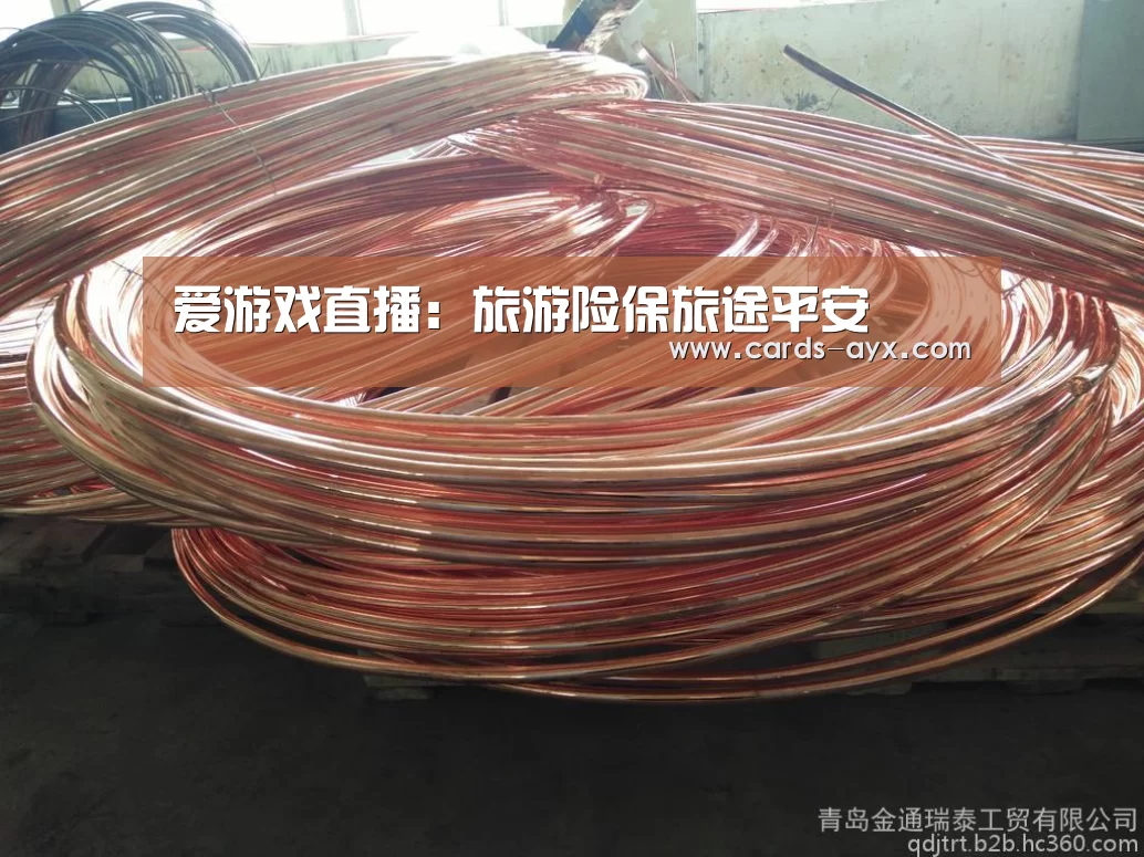 爱游戏直播:旅游险保旅途平安(图1) 爱游戏官方