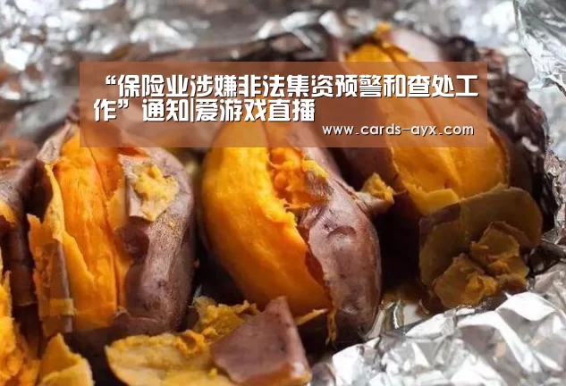体育直播