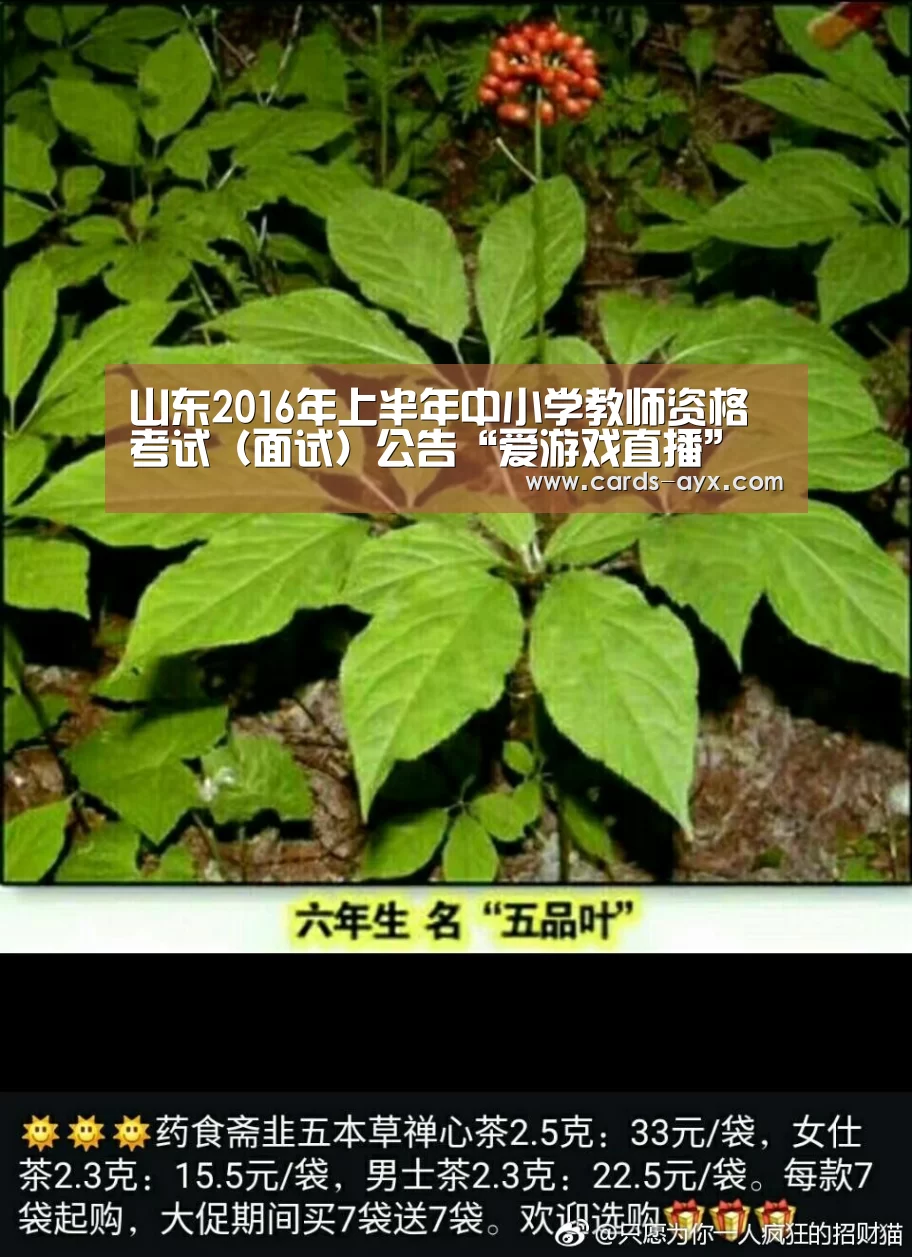 爱游戏官方