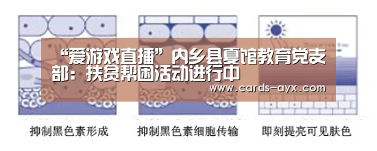 “爱游戏直播”内乡县夏馆教育党支部:扶贫帮困活动进行中(图2) 爱游戏