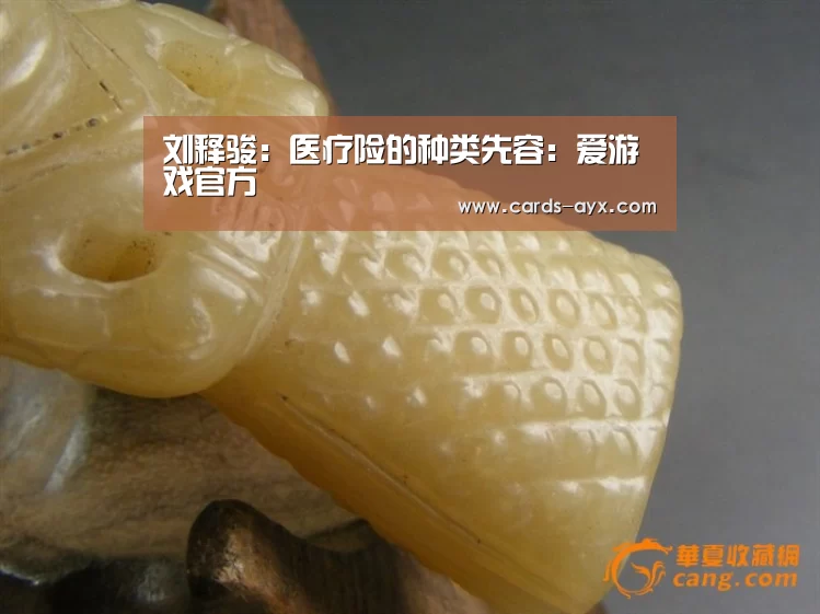 体育直播