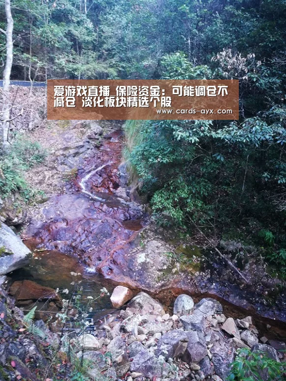 爱游戏直播_保险资金:可能调仓不减仓 淡化板块精选个股(图1) 爱游戏官方